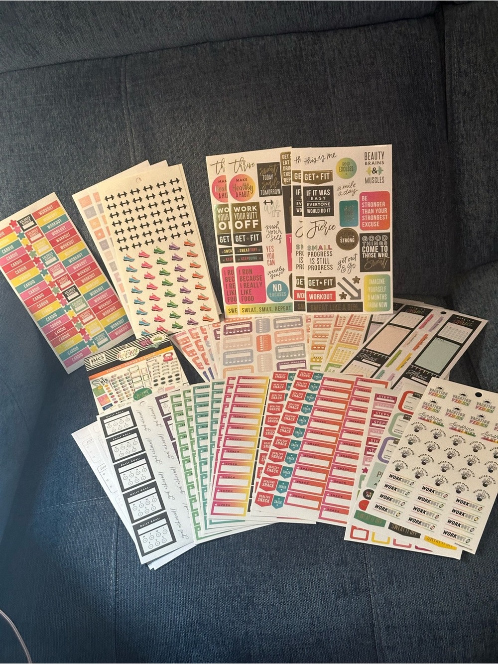 Happy Planner Fitness Sticker Book & 65 Sticker Sheets Bundle
